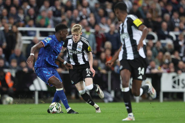 便是一个鲜 便是一个鲜