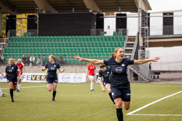 仅提升了沙 仅提升了沙